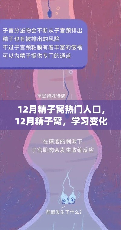 12月精子窝,学习变化与自信成就感的源泉,热门人生的启航地