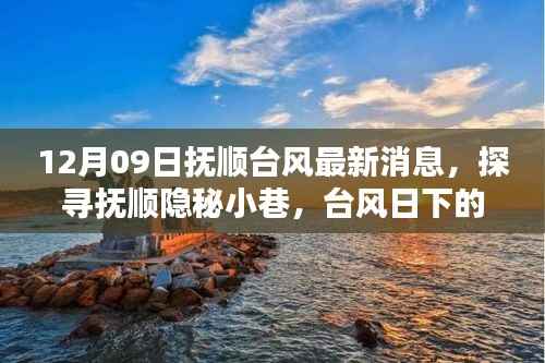 抚顺台风日下的隐秘小巷与风味小店探秘记(最新消息)