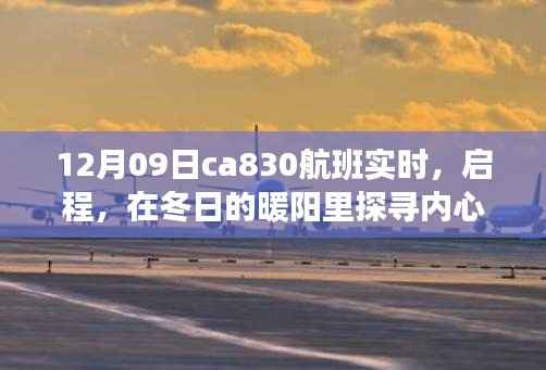 冬阳下的奇妙之旅,CA830航班探寻内心宁静的启程