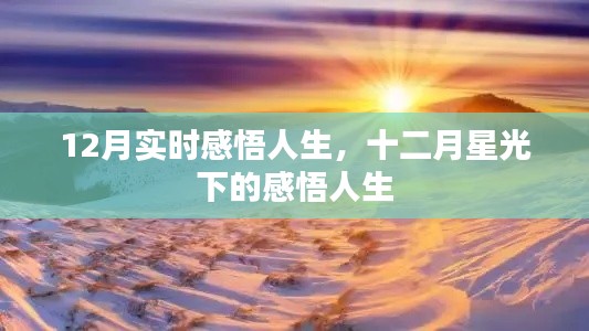 十二月星光下的实时人生感悟
