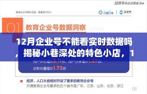 揭秘12月企业号实时数据,小巷特色小店的奇幻数据之旅