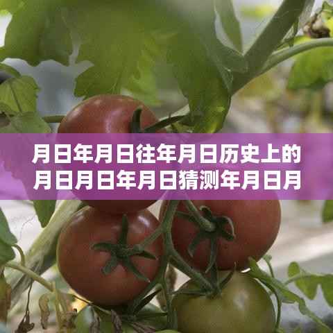 岁月流转中的智慧与力量,山东惠民实时下的学习航标与人生辉煌之路