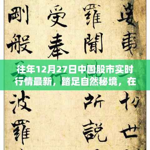 股市实时行情更新日,探寻自然秘境的内心平和之旅