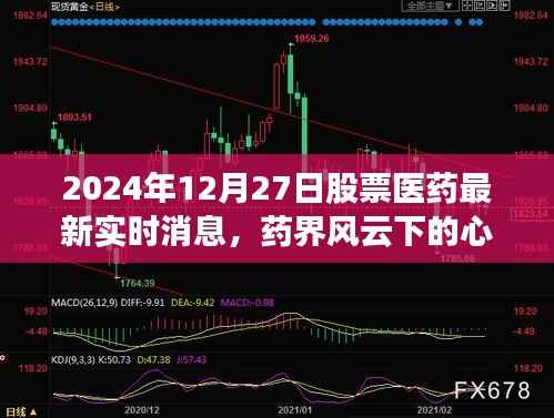 药界风云下的心灵之旅,最新医药实时消息探索之旅(2024年12月27日)