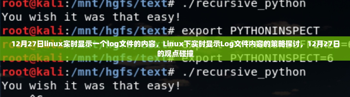 Linux下实时显示Log文件内容的策略探讨,观点碰撞与实时更新技术
