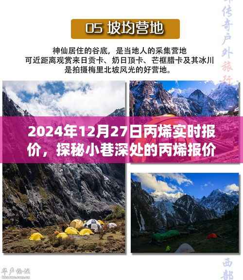 探秘丙烯报价秘境，揭秘2024年12月27日丙烯实时行情与报价深度解析