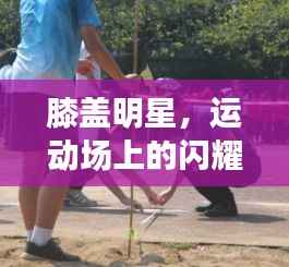 膝盖明星,运动场上的闪耀之星