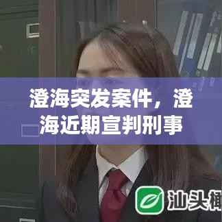 澄海突发案件,澄海近期宣判刑事案件