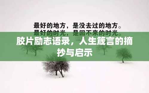 胶片励志语录,人生箴言的摘抄与启示