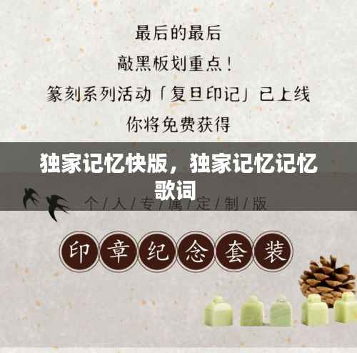 独家记忆快版,独家记忆记忆歌词
