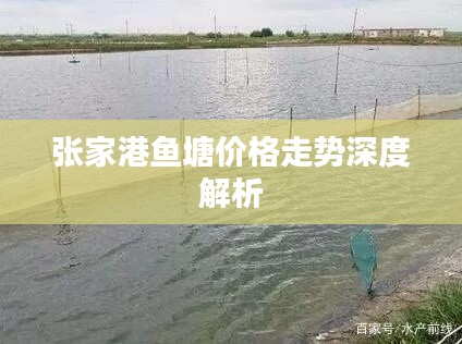 张家港鱼塘价格走势深度解析