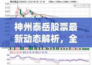 神州泰岳股票最新动态解析,全面解读最新消息与趋势