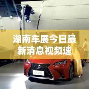 湖南车展今日最新消息视频速递