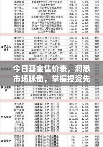 今日基金售价表,洞悉市场脉动,掌握投资先机