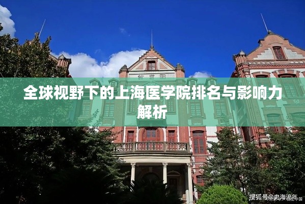 全球视野下的上海医学院排名与影响力解析