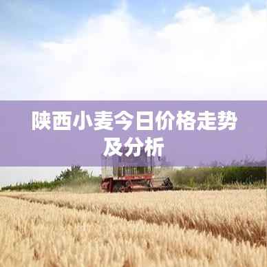 陕西小麦今日价格走势及分析