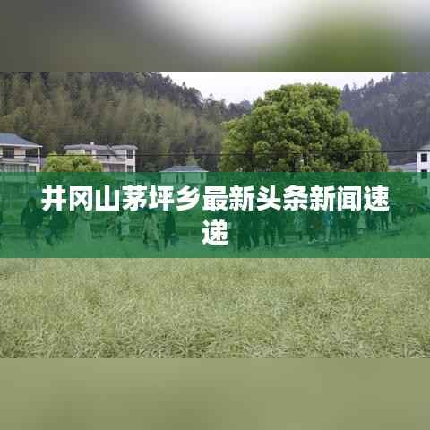 全始全终 第3页