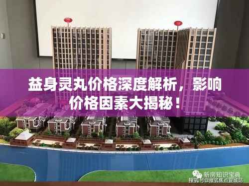 益身灵丸价格深度解析,影响价格因素大揭秘!