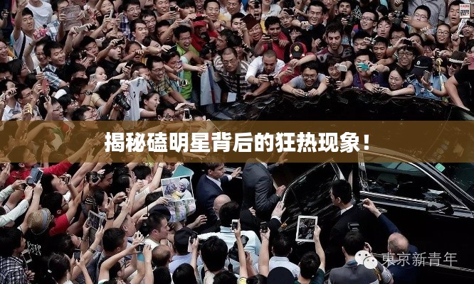 揭秘磕明星背后的狂热现象！