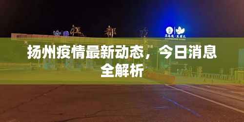 扬州疫情最新动态,今日消息全解析