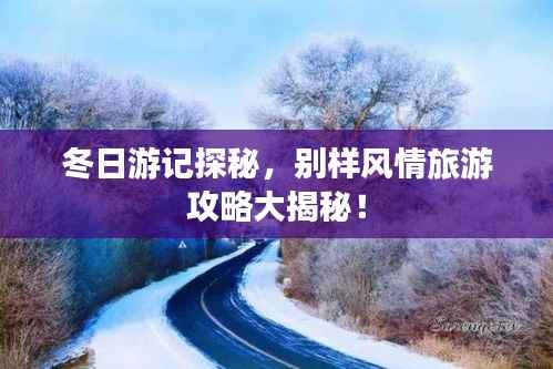 冬日游记探秘,别样风情旅游攻略大揭秘!