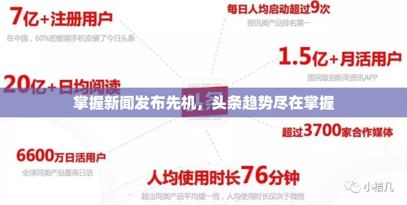 掌握新闻发布先机,头条趋势尽在掌握