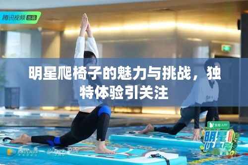 明星爬椅子的魅力与挑战,独特体验引关注