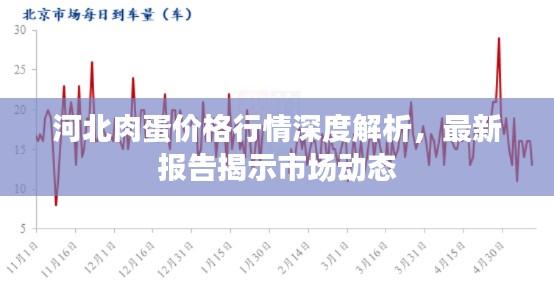 河北肉蛋价格行情深度解析,最新报告揭示市场动态