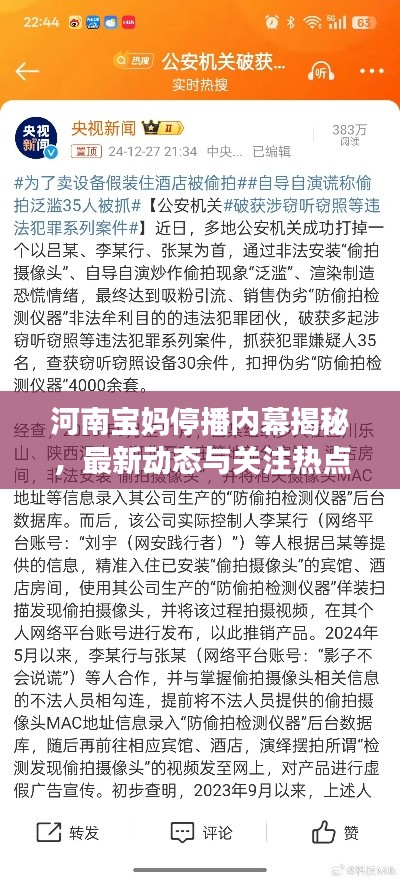河南宝妈停播内幕揭秘,最新动态与关注热点