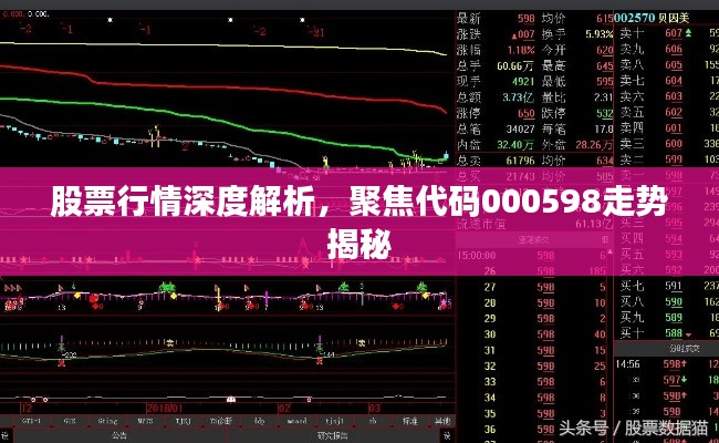 股票行情深度解析,聚焦代码000598走势揭秘