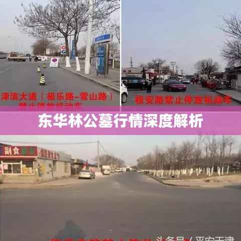 东华林公墓行情深度解析