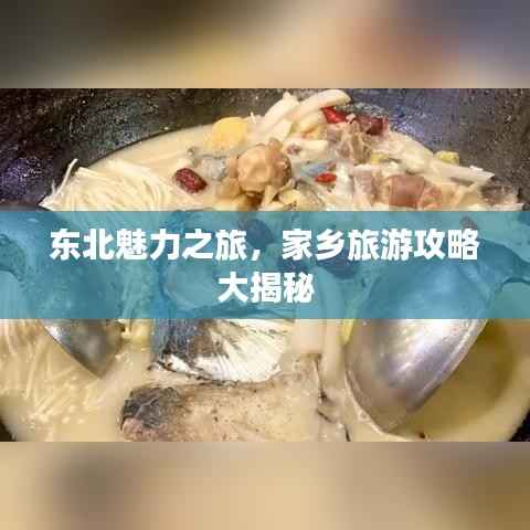 东北魅力之旅,家乡旅游攻略大揭秘
