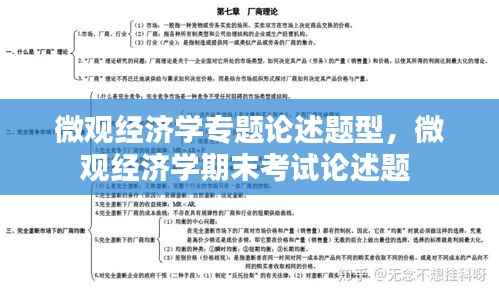微观经济学专题论述题型,微观经济学期末考试论述题