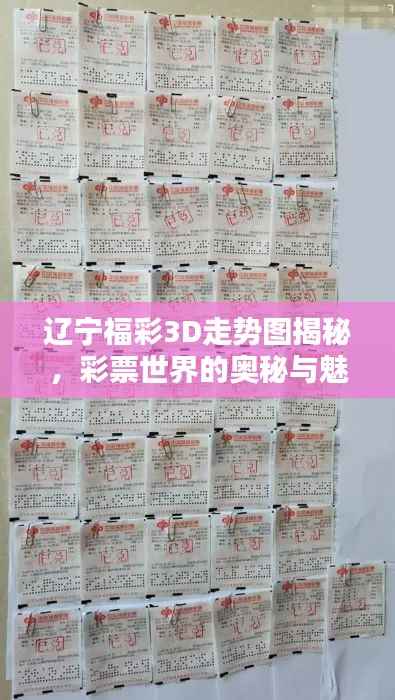 辽宁福彩3D走势图揭秘,彩票世界的奥秘与魅力探索