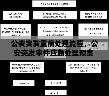 公安突发重病处理流程,公安突发事件应急处理预案