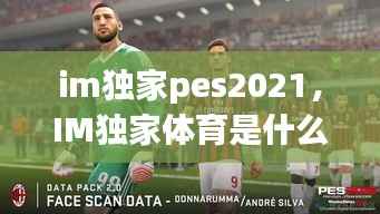 im独家pes2021,IM独家体育是什么盘