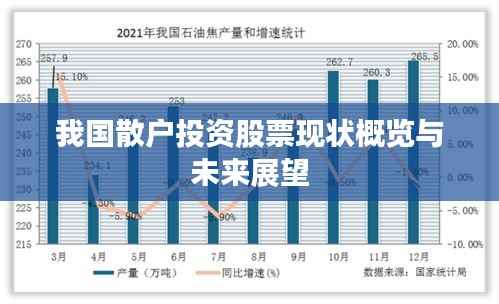 我国散户投资股票现状概览与未来展望