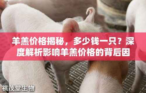 羊羔价格揭秘,多少钱一只?深度解析影响羊羔价格的背后因素!