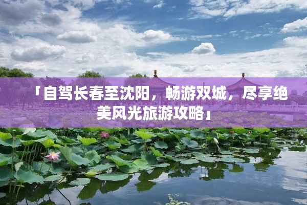 员工入口 第81页