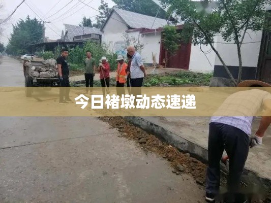 飞扬拨扈 第2页