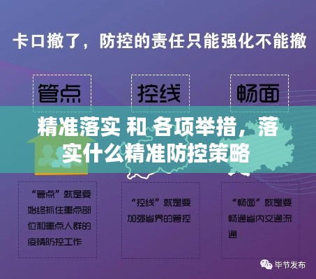 精准落实 和 各项举措,落实什么精准防控策略