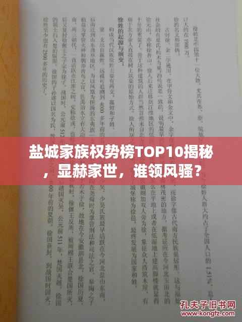 盐城家族权势榜TOP10揭秘,显赫家世,谁领风骚?