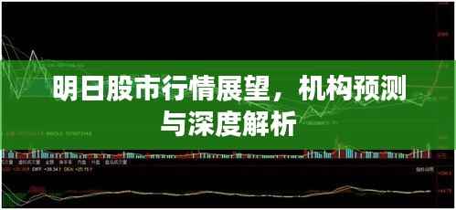明日股市行情展望,机构预测与深度解析