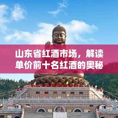 山东省红酒市场,解读单价前十名红酒的奥秘