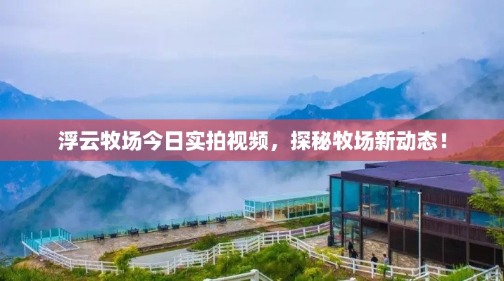 浮云牧场今日实拍视频,探秘牧场新动态!