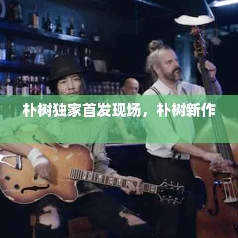 朴树独家首发现场,朴树新作