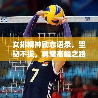 女排精神励志语录,坚韧不拔,勇攀高峰之路