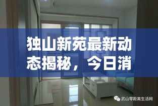 独山新苑最新动态揭秘,今日消息抢先看