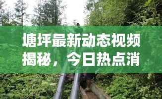 塘坪最新动态视频揭秘,今日热点消息一网打尽