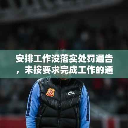 安排工作没落实处罚通告，未按要求完成工作的通报 